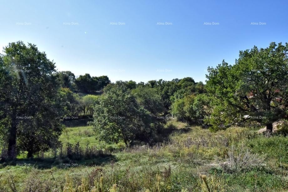 Plot Svetvinčenat 1