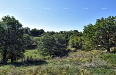 Terreno Svetvinčenat