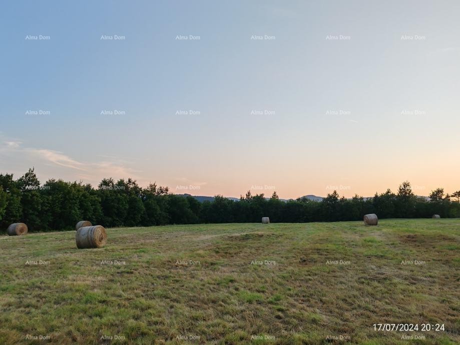 Строительная земля 1.650 м² – Бузет, Истрия 6