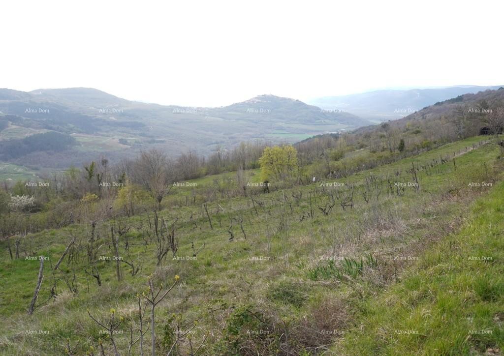 Plot Pazin 7