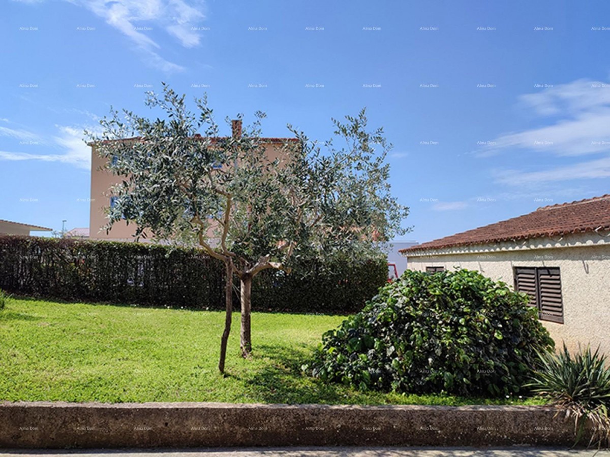 ПУЛА – Шкатари, семейный дом с большим приусадебным участком 3