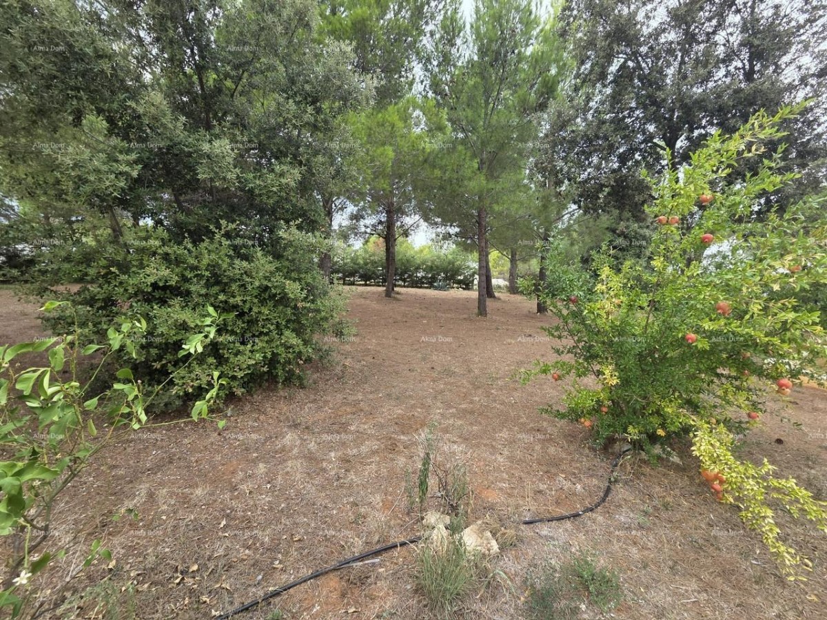 GRAĐEVINSKO ZEMLJIŠTE 420 m², LIŽNJAN 5