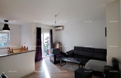 Two-room apartment near Novigrad