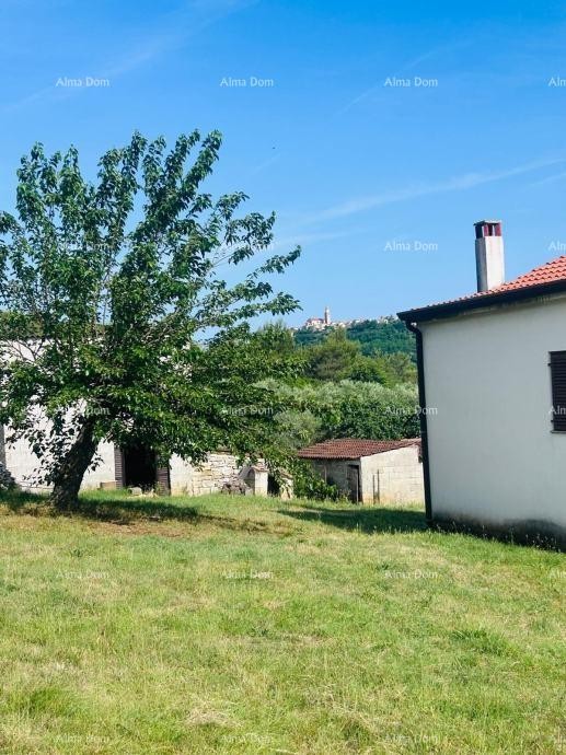 Buje – Samostojeća kuća s maslinikom i građevinskim zemljištem 6