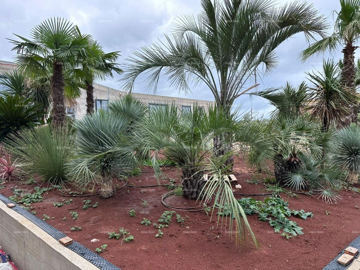 Stanovanje Poreč 10