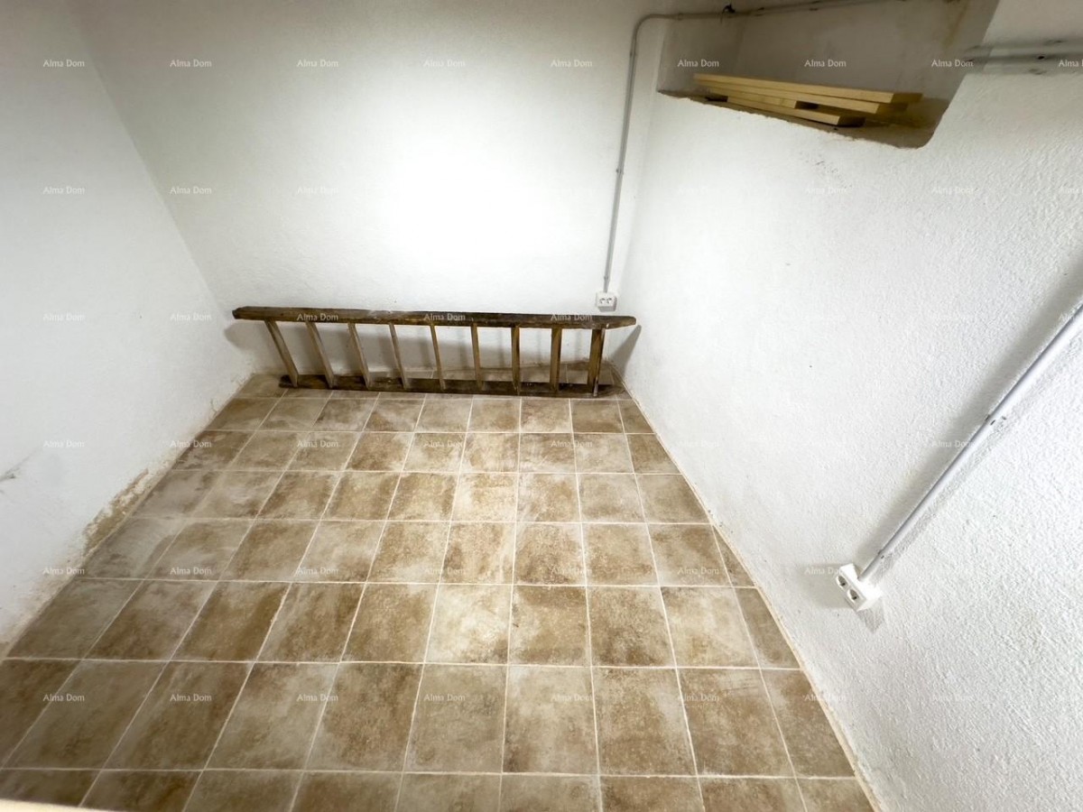 Редкость на рынке!   Istra  Barban 43