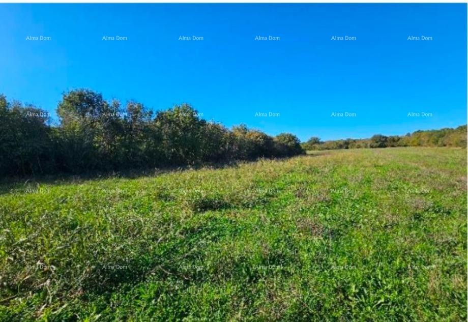 Эемля Marčana 3