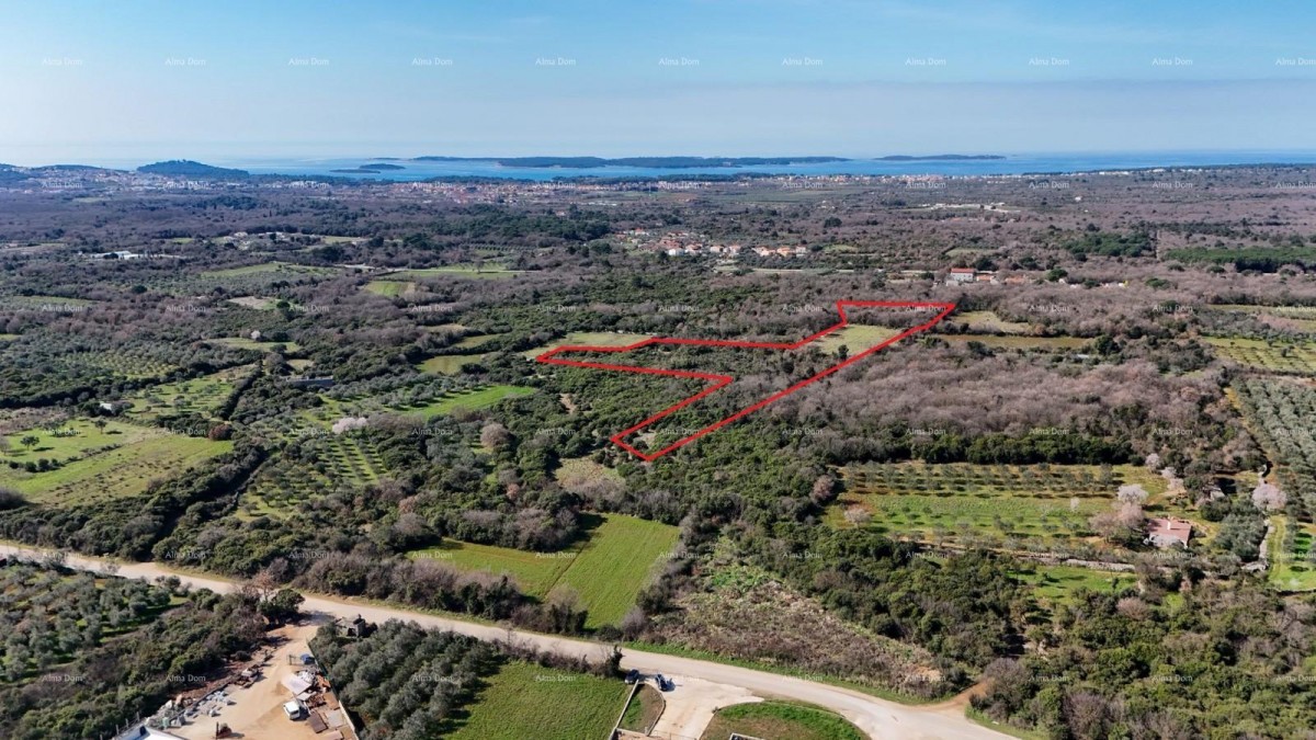 Галижана — Продается большой сельскохозяйственный участок площадью 20 498 м², отличное местоположение 3