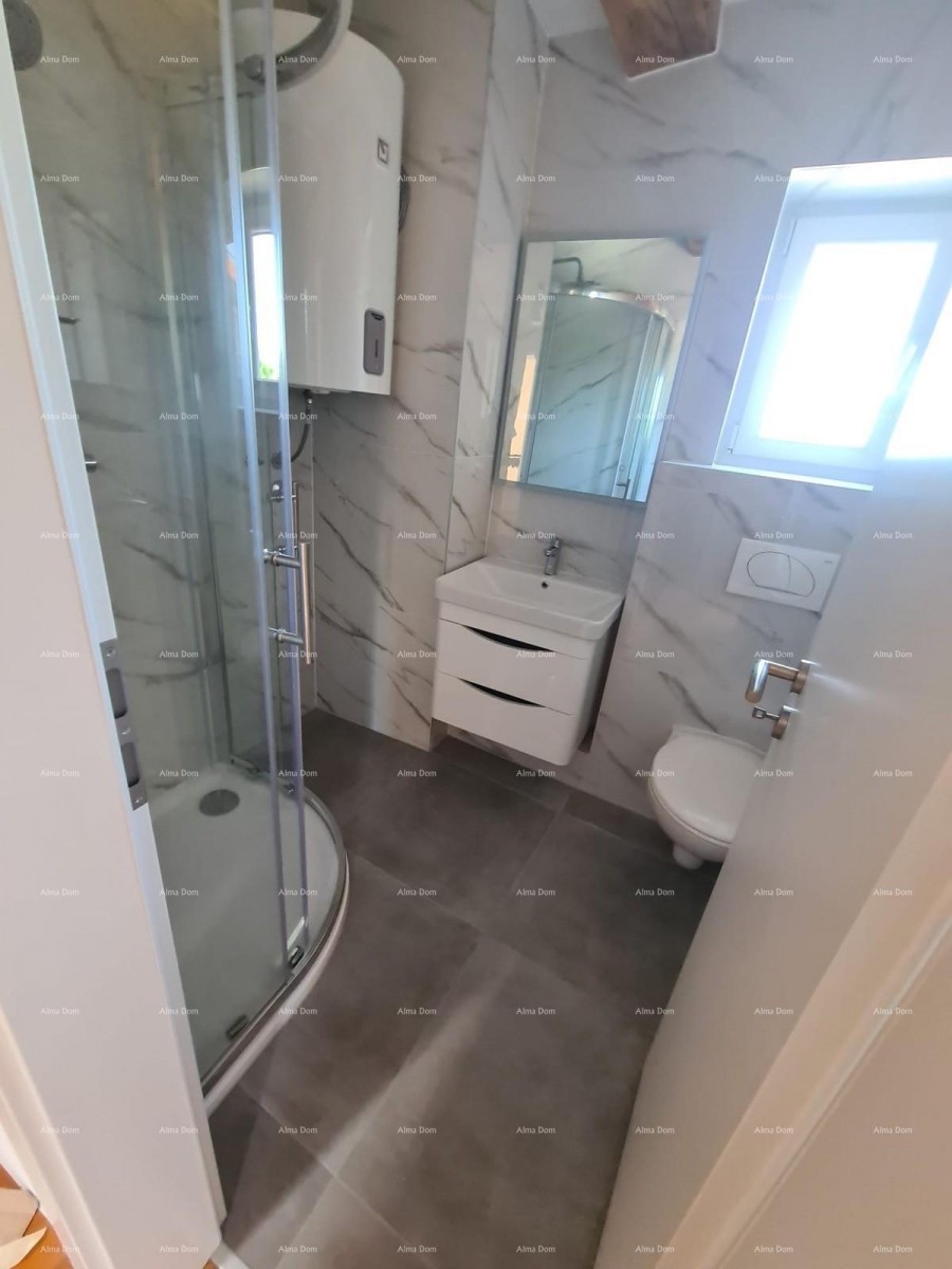Ristrutturata casa in pietra con piscina – tranquillo villaggio vicino a Svetvinčenat 23