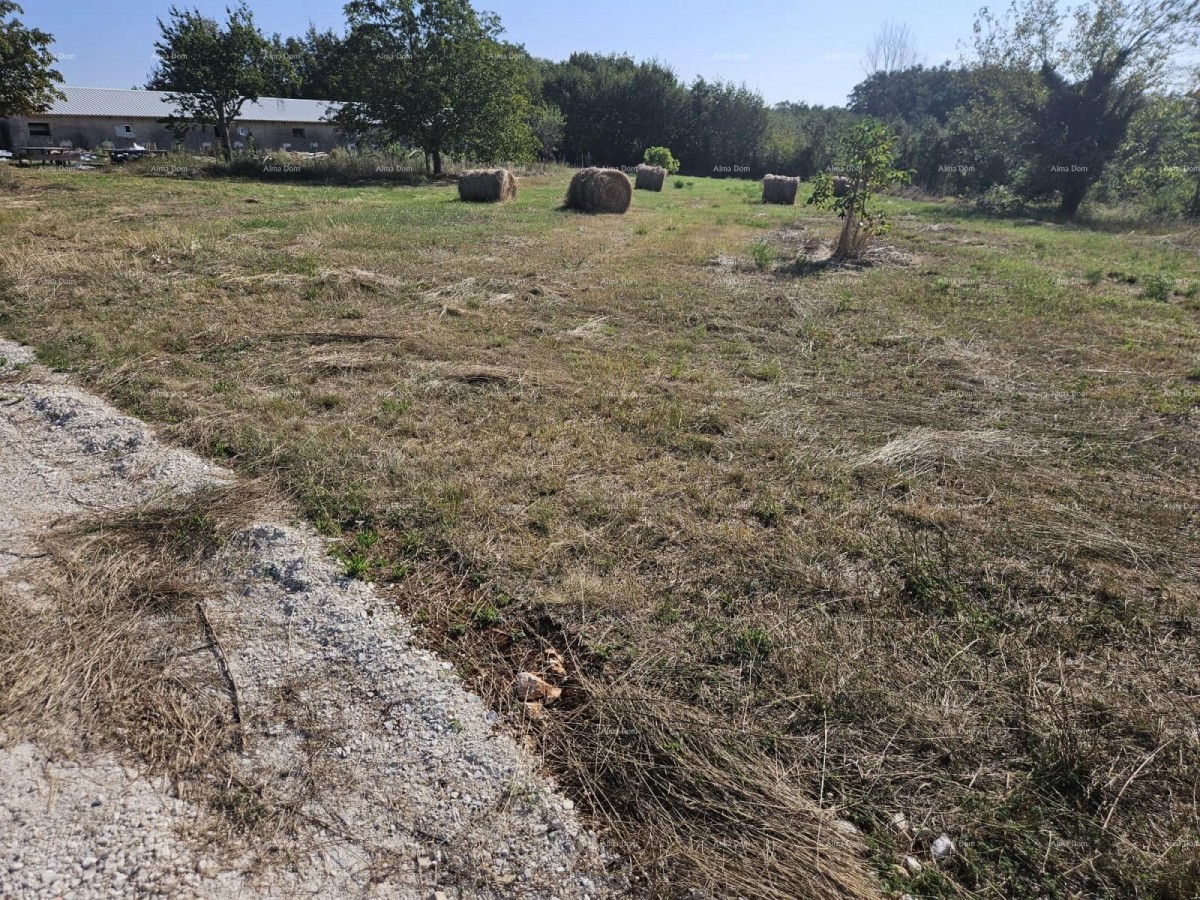 Продажа строительного участка, Жминь 6