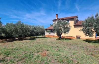 Galižana!Kamnita vila z dvema dodatnima hišama!