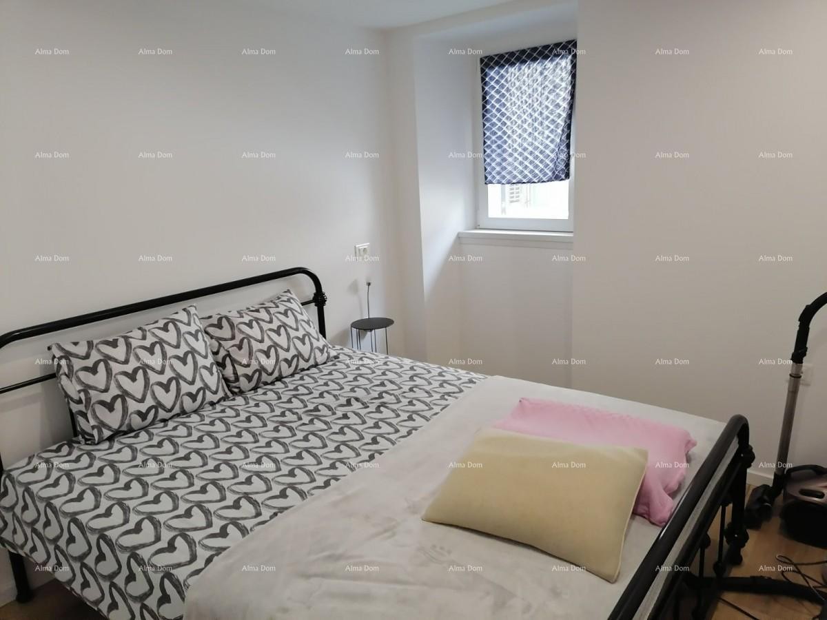 Newly renovated house in Pazin. 13