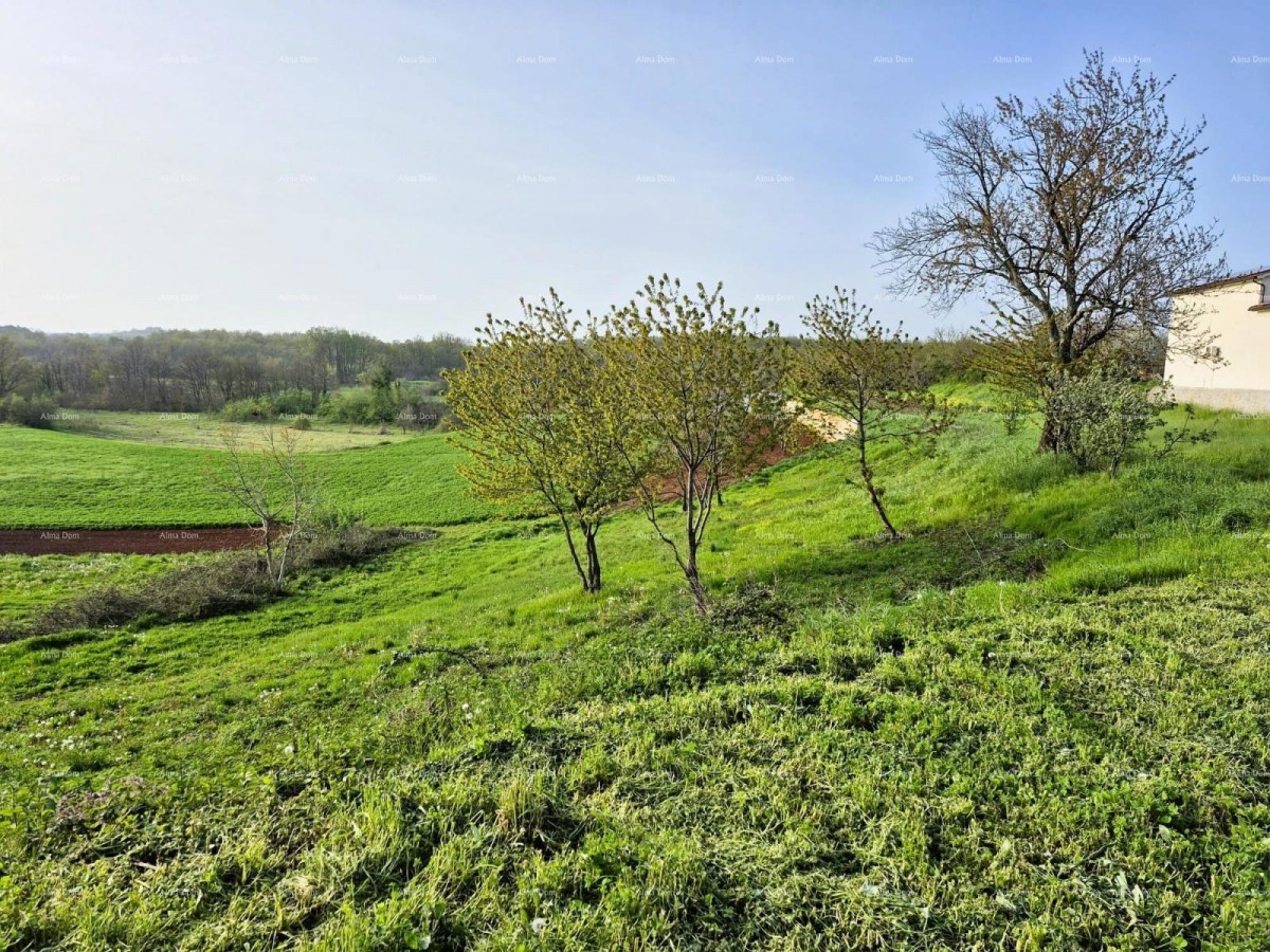 Construction Land 1,730 m² – Barban 4