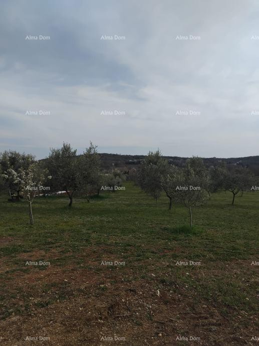 Atraktivno zemljište, 5.716 m²,okolica Poreča 1