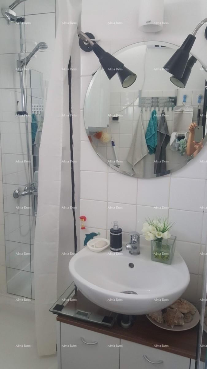 Apartment Novigrad 14