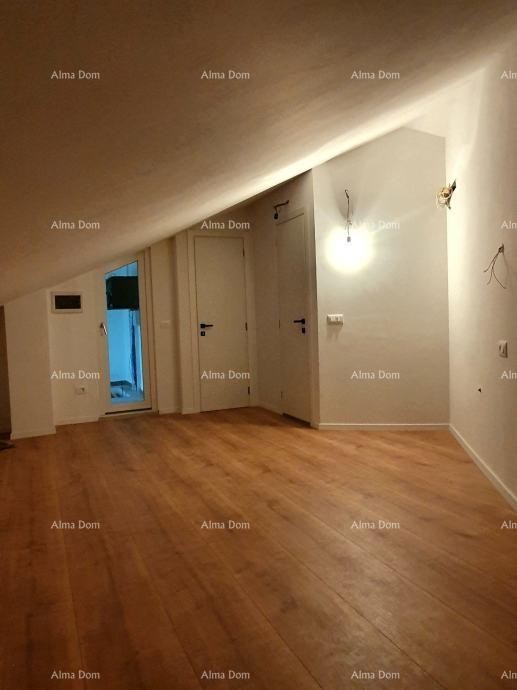 In vendita ampio appartamento con galleria e terrazza sul tetto – Foresta di Šijana 7