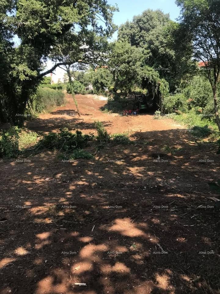 Terreno edificabile 1.137 m² – Filipana 9