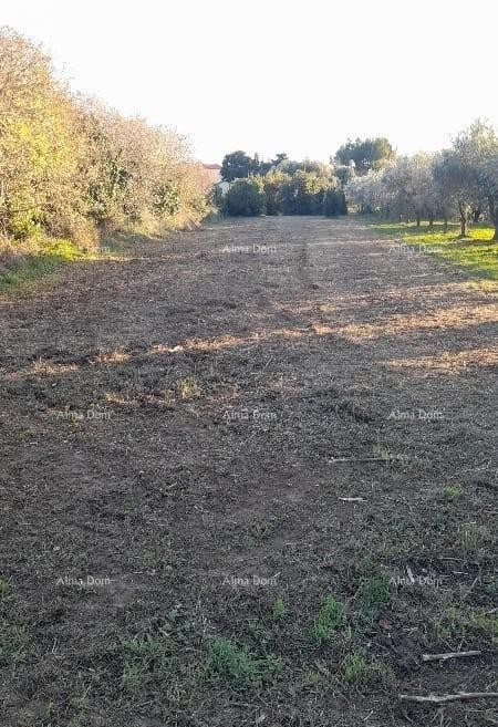 Premantura – construction land 1,793 m² 3