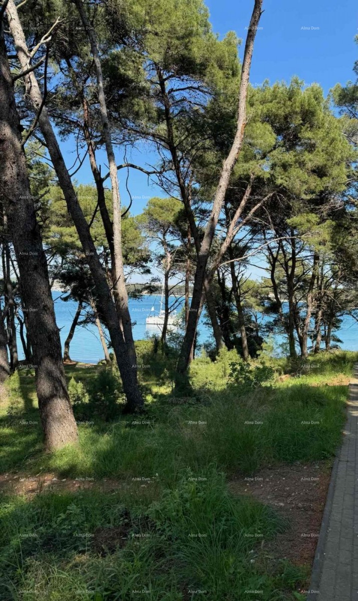Trosobni stan subito vicino al mare, Premantura 1