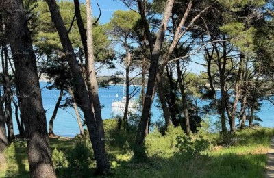 Трехкомнатная квартира сразу у моря, Премантура