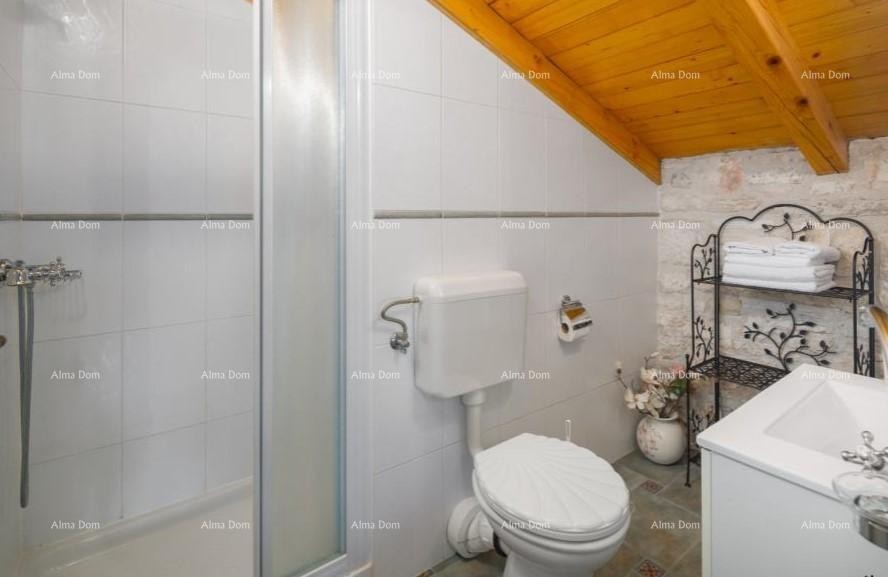 Casa con piscina in vendita, Tinjan 2