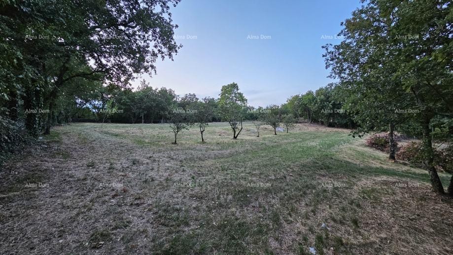 Građevinsko zemljišče v Tinjanu (Istra), 3.623 m² 1