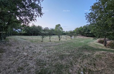 Građevinsko zemljišče v Tinjanu (Istra), 3.623 m²