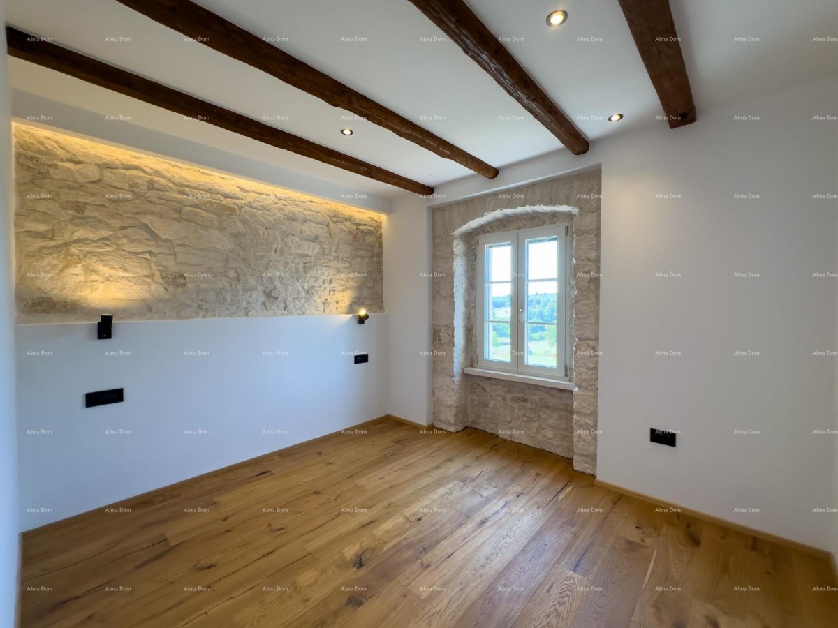 Редкость на рынке!   Istra  Barban 22