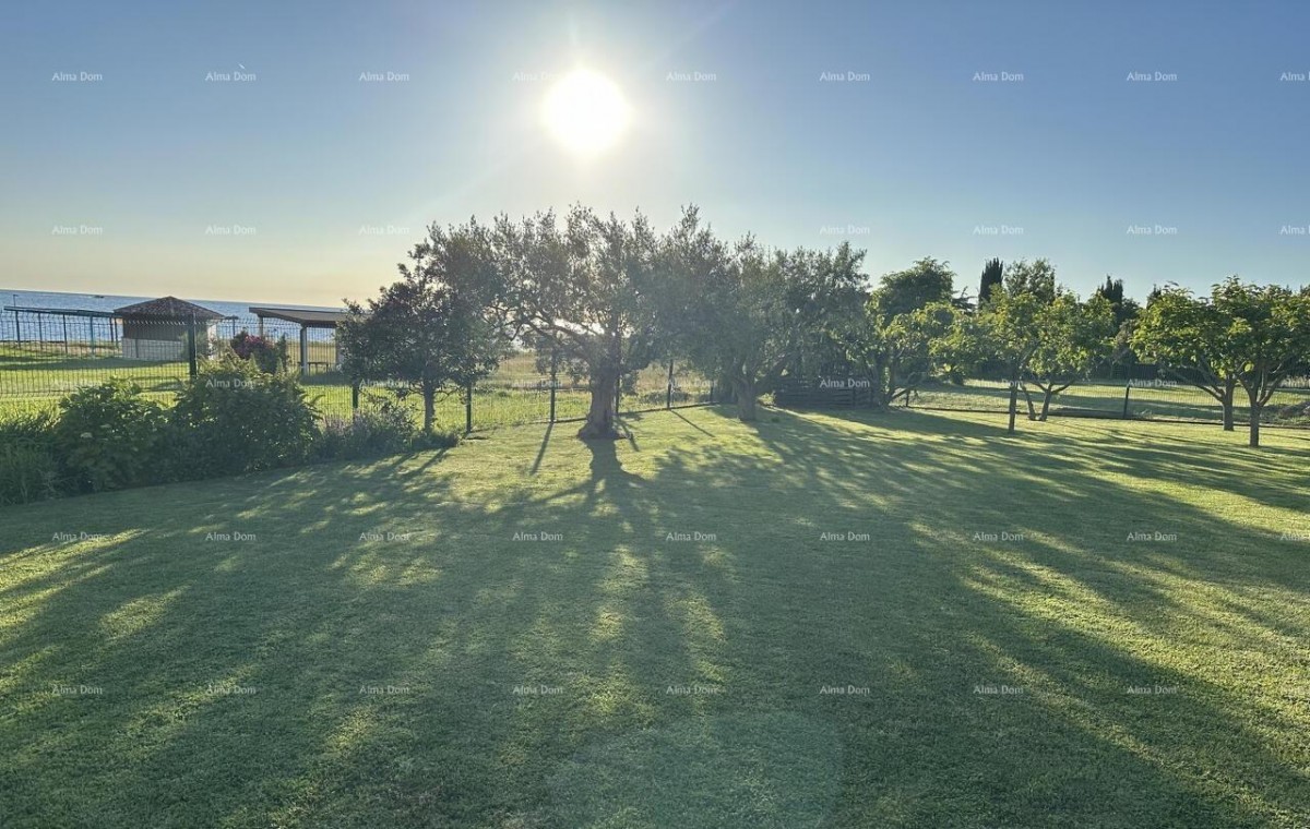 Lovrečica – terreno edificabile di 591 m², a soli 60 m dal mare 2