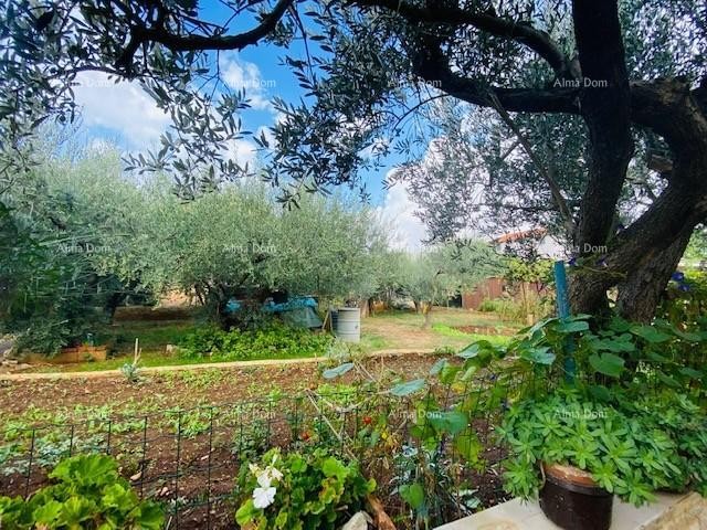 Prostrana hiša v Puli z velikim dvoriščem in številnimi možnostmi 6