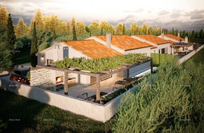 Case a Kašteliru (Istria)