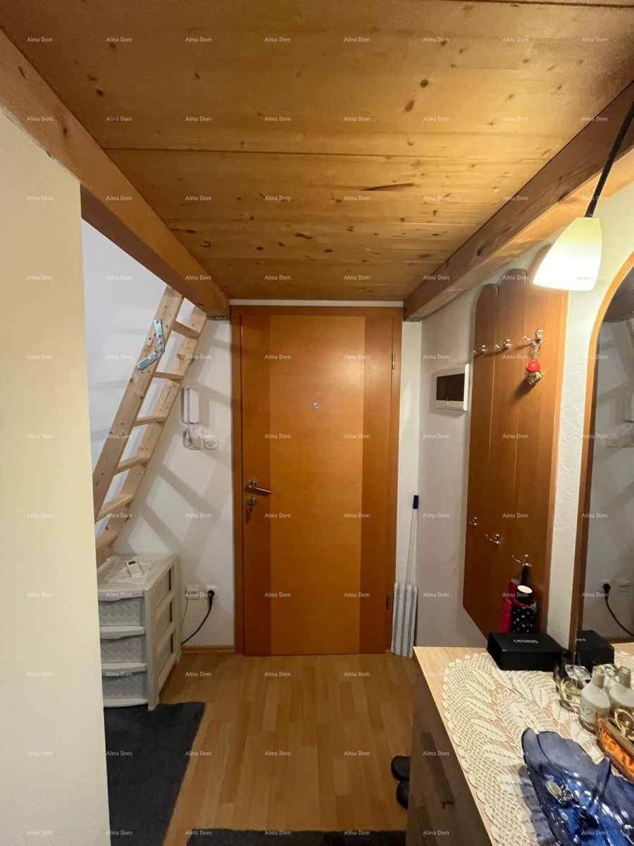 Красивый, функциональный апартамент в тихой части Медулина 9