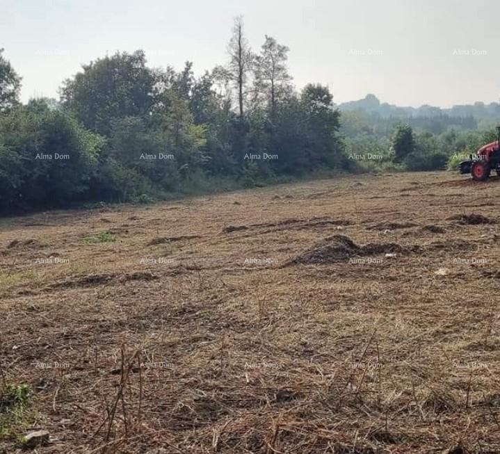 Brtonigla. Zazidljivo zemljišče. 4