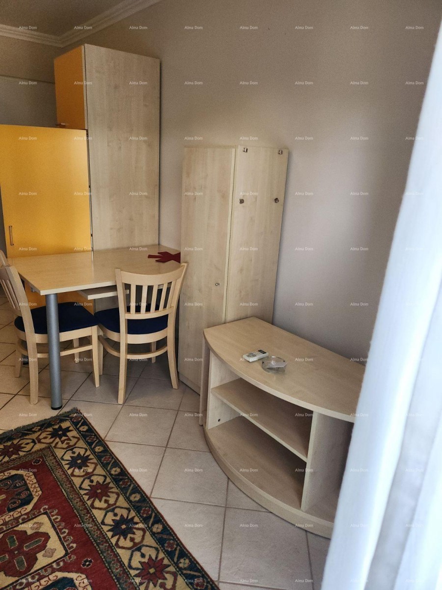 Savudrija, apartman 38 m2 s pogledom na more 4