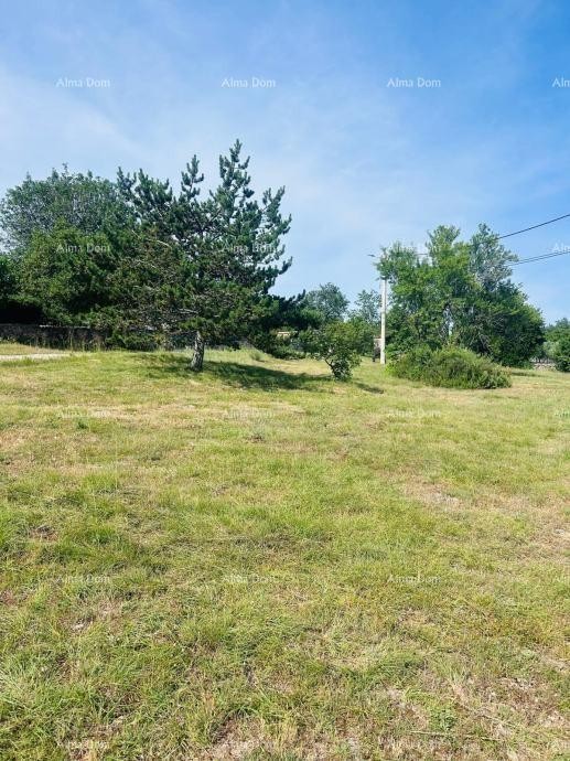 Buje – Samostojeća kuća s maslinikom i građevinskim zemljištem 12