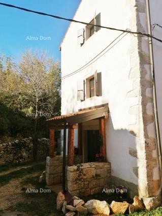 House Umag 2
