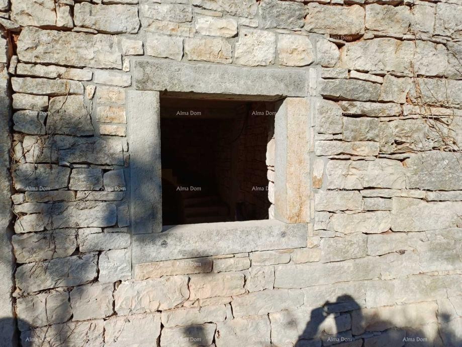 Самостоятельный дом в строительстве – Тиньян 5