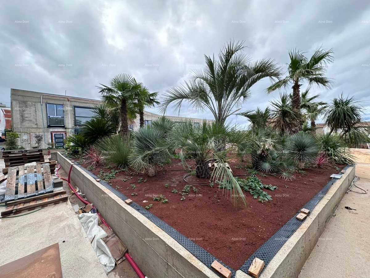 Edificio Residenziale-Commerciale – Monolocale S102 6