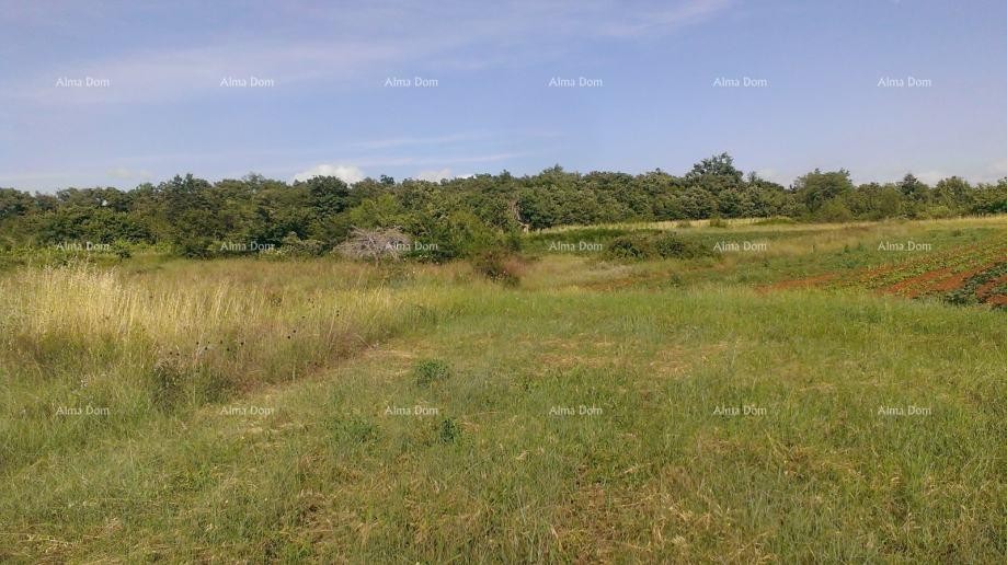 Construction Land 2,539 m² – Smoljanci, Svetvinčenat 1