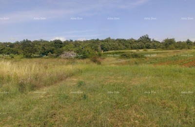 Строительная земля 2.539 м² – Смолянец, Светвинченат