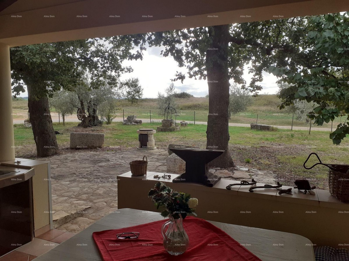 НОВИГРАД - Две квартиры в семейном доме на продажу 20