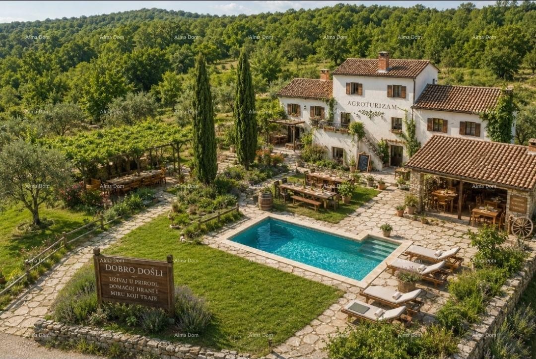 ISTRIA VILLA WITH POOL AND 4,000 m² OF LAND – OPRTALJ 3