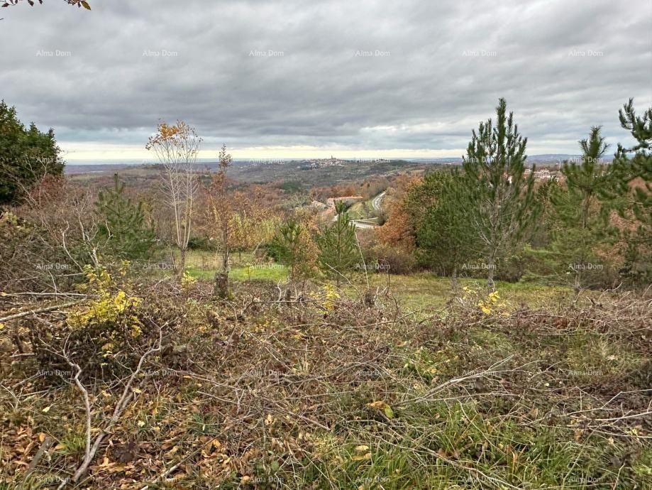 BUJE – GRAĐEVINSKO ZEMLJIŠTE 990 m² 1