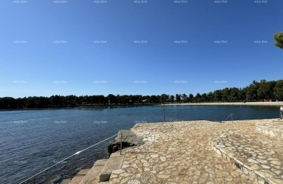 Stanovanje Novigrad