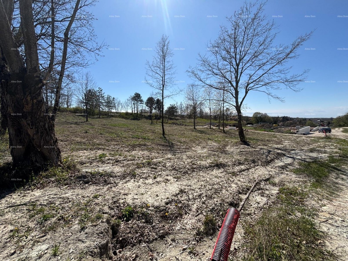 PAZIN (Istria) - terreno edificabile 1543 m2, nella zona verde 3