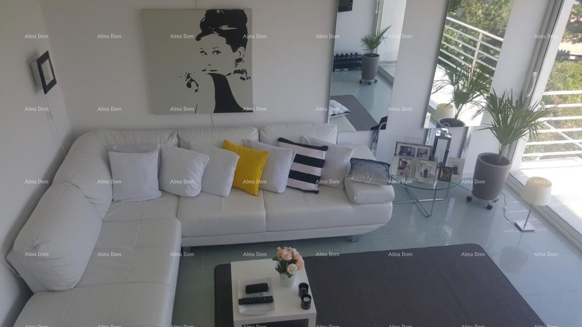 Apartment Novigrad 10