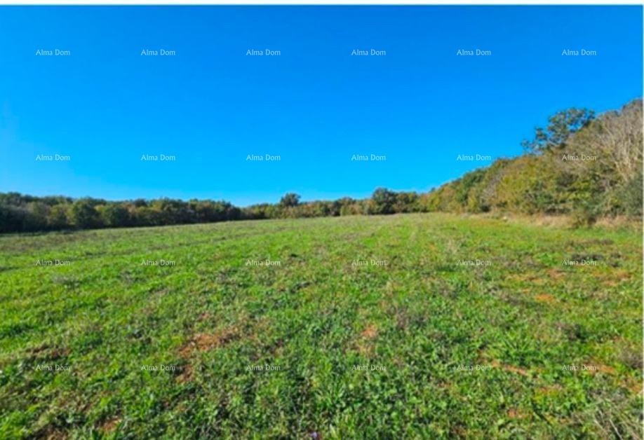 Эемля Marčana 1