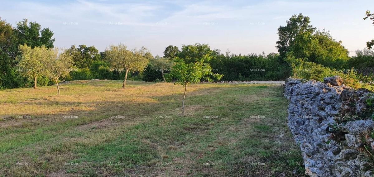 Zemljišče Marčana 5