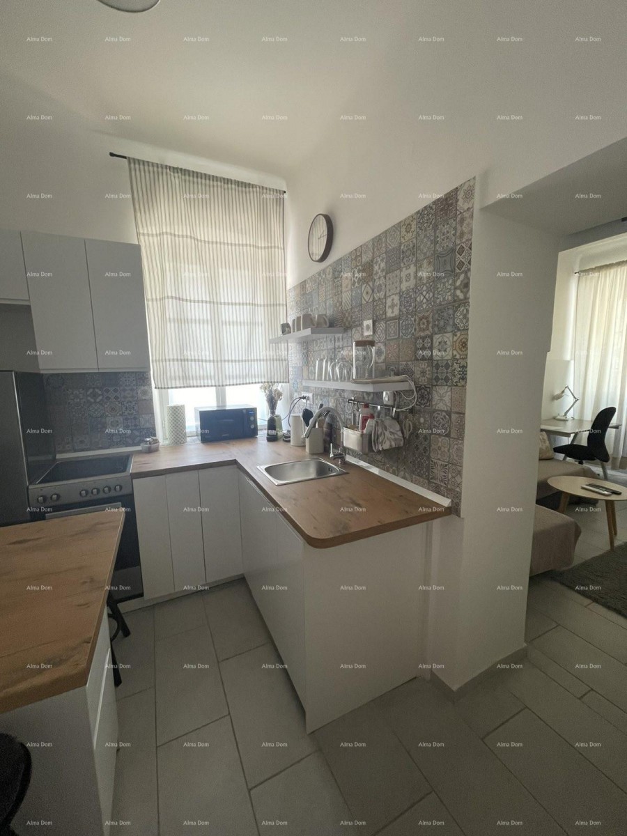 Appartamento arredato di 45 m2 al piano terra nel centro di Pola 8