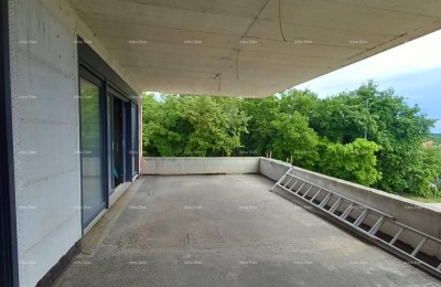 Лижнян, Продается фантастическая квартира